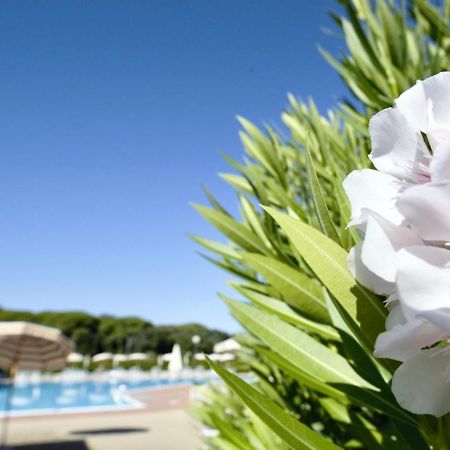 Isa-Apartments 4 Beds In Residence With Swimming-Pool In San Vincenzo, Just 600 Meters From The Sea מראה חיצוני תמונה