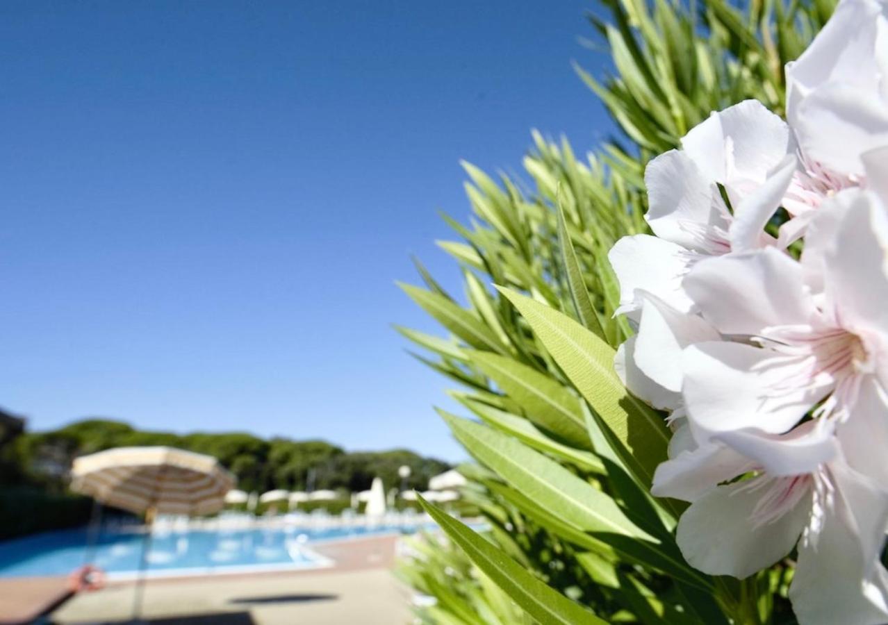 Isa-Apartments 4 Beds In Residence With Swimming-Pool In San Vincenzo, Just 600 Meters From The Sea מראה חיצוני תמונה